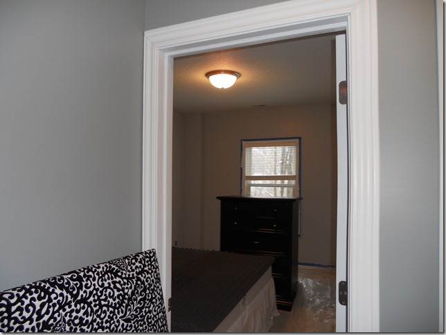 Valspar’s Gravity — Decor and the Dog